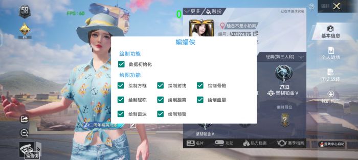和平精英透视辅助器 - 高清识别稳定运行
